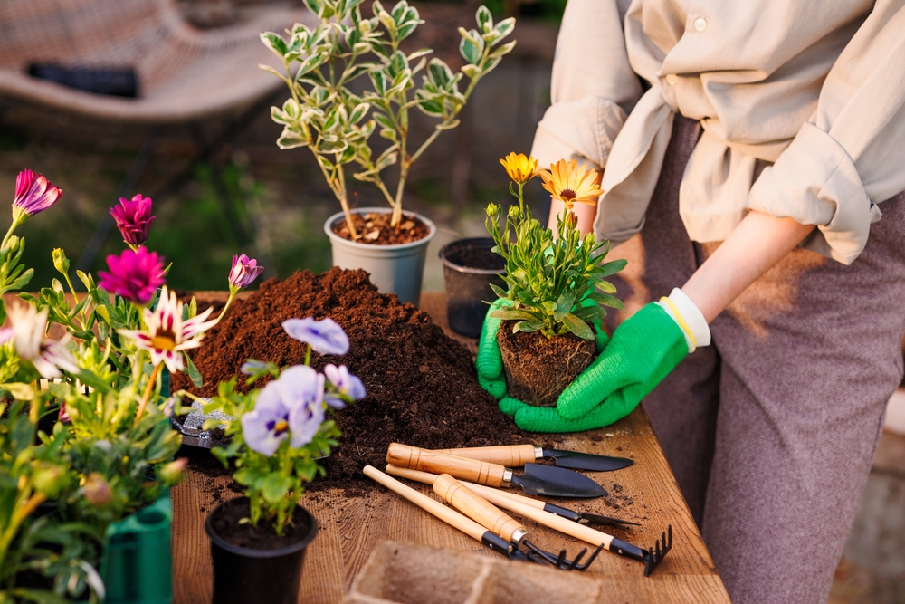 woman-planting-flowers